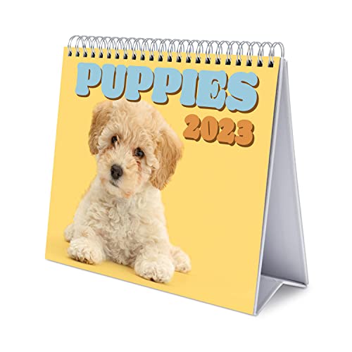 Trixie Tierkalender 2025 – Mit Hunden, Katzen, Pferden, Wölfen & Mehr | Wunderschöne Motive