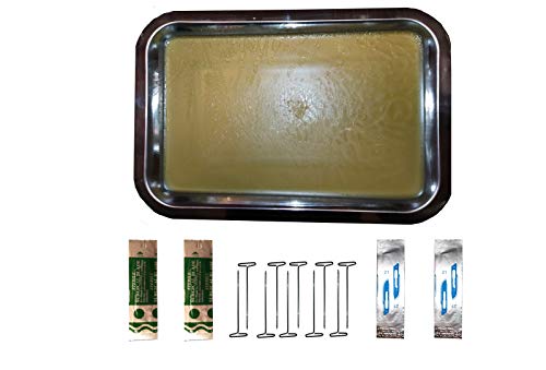 Stainless Steel Dissecting Tray with Wax and 10 Free 38mm Dissection Pins and Now Includes 2#11 and 2#21 Blades