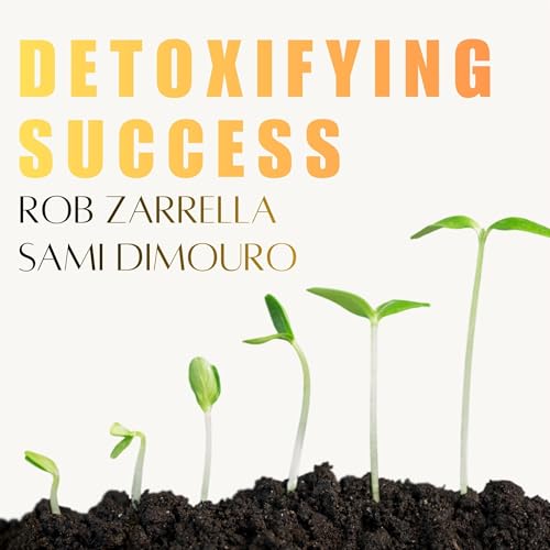 Detoxifying Success cover art