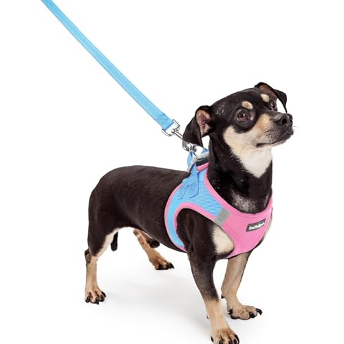 Image of rabbitgoo Dog Harness Small Sized and Leash Set, Step-in Puppy Pet Vest