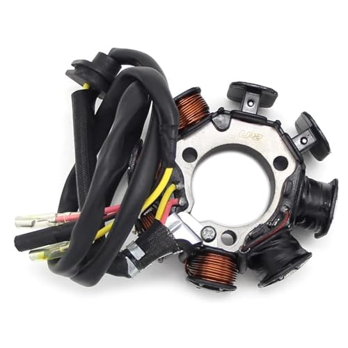 正確に設計されたジェネレータープレート XR250R オートバイに適合最適化された点火システム信頼性 31120-KT1-004 オートバイ点火コイル