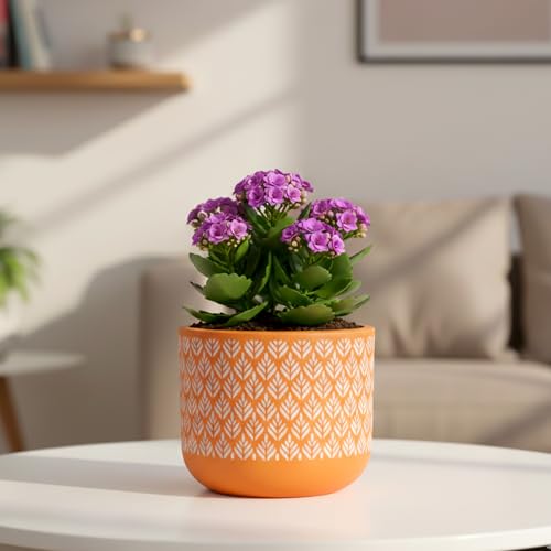 Image of Urban Plant Orange Charm Virasat Terracotta Pot with Drainage Hole (5 Inch) | Hand-Painted Decorative Clay Planter | Breathable Indoor Plant Pot for Healthy Growth