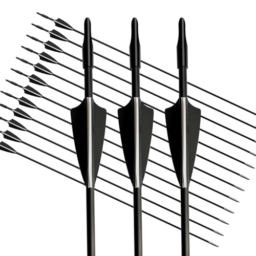 biubiusot 12er Pfeile für Bogenschießen 31 Zoll Bogenpfeile Jagdpfeile Pfeile Übungspfeile Fiberglaspfeile für Anfänger Pfeil und Bogen Zielübung(schwarz)