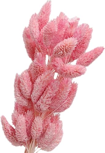 Ramos de flores secas 50 piezas cola de conejo rosa miniatura 4