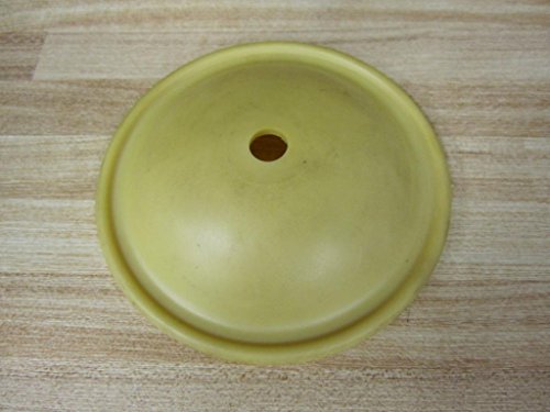 Diaphragm, Santoprene