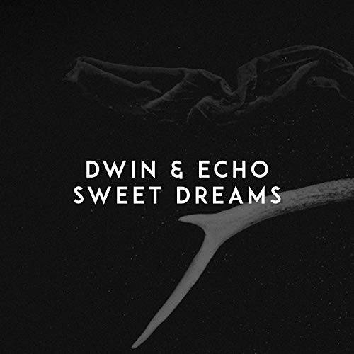 Dwin & ECHO