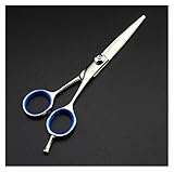 Hair Scissors Hairdresser Barber Scissors Hair Cut Beauty Salon sissors Japanese Hairdressing Scissors(5.5 Inch)
