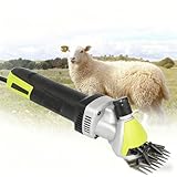 【Convivial et facile d'entretien】 : La conception ergonomique du manche des ciseaux offre une prise en main confortable pour une tonte précise et longue durée, sans fatiguer les mains. Les ventilateurs de refroidissement empêchent la surchauffe des lames et de la tête pendant la coupe. Après utilisation, il suffit de les nettoyer, d'ajouter du lubrifiant et de les ranger dans un endroit sec.