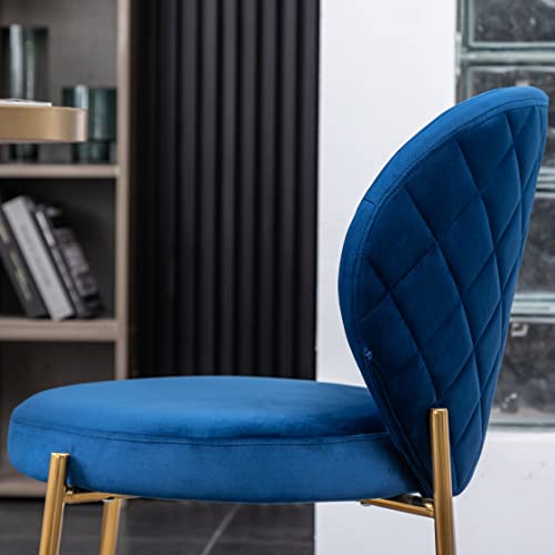 Amoa Contemporary Golden Metal Legs with Velvet Upholstered Dining Chairs Set of 2, Blue by Roundhill Furniture - Image 8