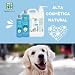 MENFORSAN Geruchsbeseitigendes Hundeshampoo, Beseitigt schlechte Gerüche aus dem Fell, Talkum, Blau, 1 l