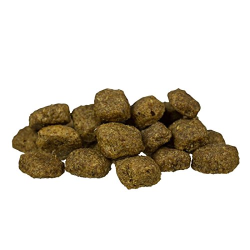 Bosch Adult Geflügel & Hirse Trockenfutter für Hunde. Eine heathly ausgewogenen Lebensmittel für Ihren Hund