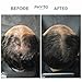 PHYTOCYANE Men Densifying Treatment for Progressive Hair Thinning, Double Efficiency Anti-Fall & Density, 12 Vials x 0.118 fl.oz. (1 month Supply)