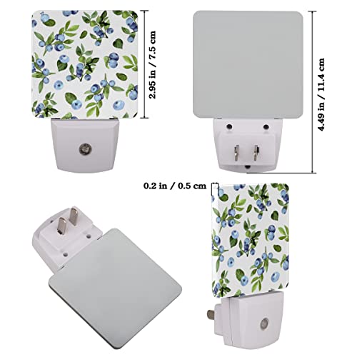 Qsirbc Night Light Blueberry Painting Motion Sensor Dusk To Dawn Led Lamp Set Of 2 Plug-In Energy Efficient Nightlights For Room Hallway Stairs Decor Aesthetic And Bedroom Essentials #TOP1