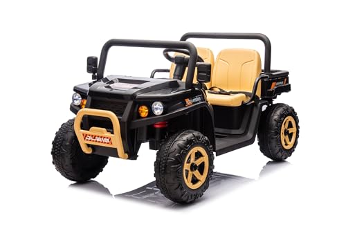 Hetoy 24v 2 Seater Ride On Dump Truck with Electric Dump Bed