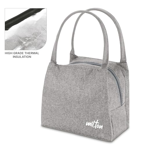 Image of MILTON Fancy Lunch Bag I Design Tiffin Bag for Office for Men, Women I Eco Friendly, Spacious, Durable I 2.44 L I Grey