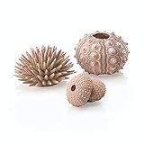 biOrb Sea Urchin Set Natural
