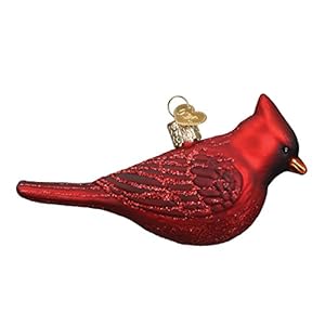 Old world christmas ornaments bird watcher collection glass blown ornaments for christmas treenorthern cardinal  urban country home decor