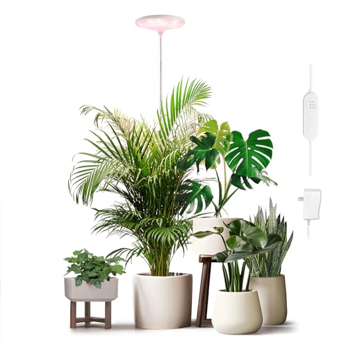 Best 6Foot LED Grow Lights for Indoor Plants Counter Current Festival