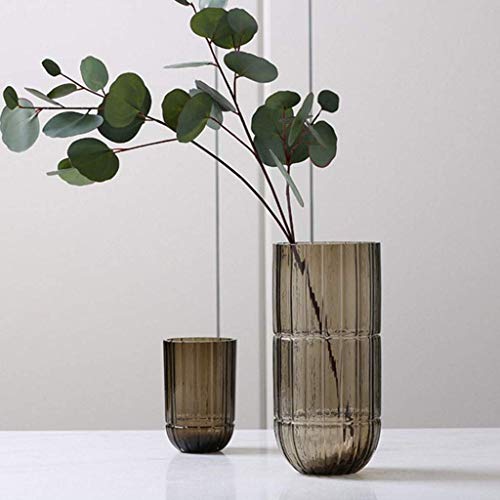 Vase en verre pour fleur et culture hydroponique sur table de salon