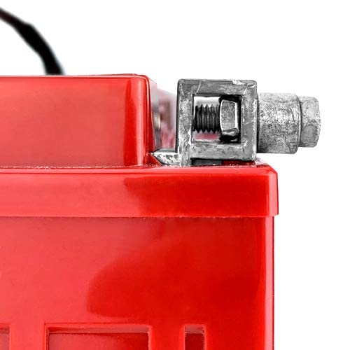 Banshee YTX30L-BS Battery For Harley Davidson Fl Flh Flt Flhr Road King Glide Touring 4Yr Warranty thumb #4