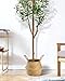 LuceAlberi 6FT Artificial Olive Tree - Indoor Tall Faux Olive Trees with Planter&Basket, Large Fake Olive Silk Tree Realistic Olive Plants with Branches and Fruits for Home Decor Office Living Room
