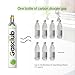 GasClub 60L CO2 Cylinder Compatible with All 'Screw-In' Soda Makers For SodaStream (Excluding Enso, E-TERRA, Art, Terra, Gaia, and Aqua Fizz), Philips, Aarke, etc.Makes Up to 60L, 6-Pack