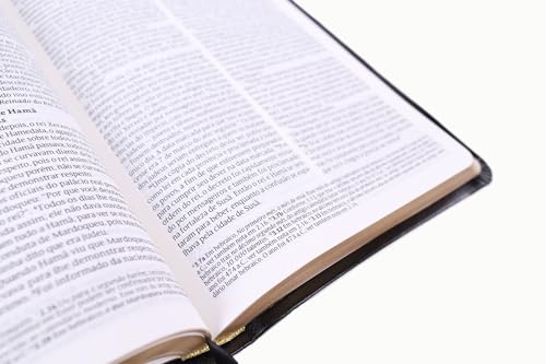 Bíblia Sagrada NVT - Luxo - Preto e dourado: Sua bíblia para leitura sempre Bíblia Sagrada NVT - Luxo - Preto e dourado: Sua bíblia para leitura sempre - Imagem 2