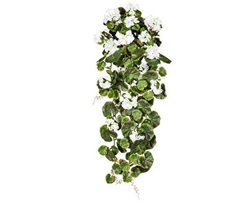 kunstpflanzen-discount.com Künstliche Hängegeranien 80cm lang mit weißen Blüten UV-Beständig - Pelargonien Geranien Blumen hängend zum Stecken