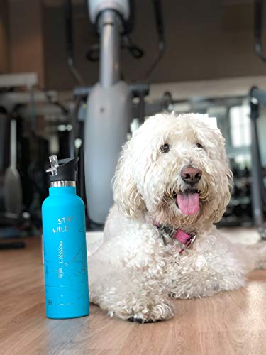 Involve & Evolve Insulated Water Bottle With 3 Lids (Straw Lid) Kids Reusable Double Walled Stainless Steel Flask Metal Stay Wild Thermos 12Oz 17Oz 20Oz 25Oz (17 Oz, Engraved Blue) #TOP2