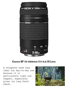 Canon EOS Rebel T7 DSLR Camera Bundle with Canon 18-55mm Lens + Canon EF 75-300mm f/4-5.6 III Lens + 2pc SanDisk 32GB Memory Cards + Accessory Kit