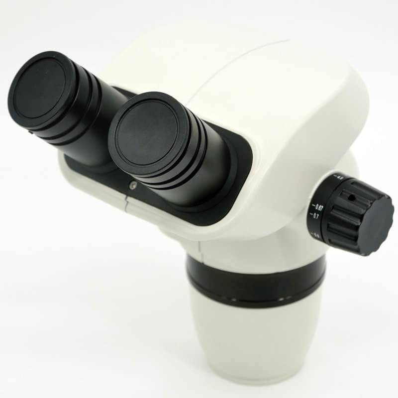 商品一覧 | わちふぃーるどオンラインショップ わちふぃ わちふぃーる