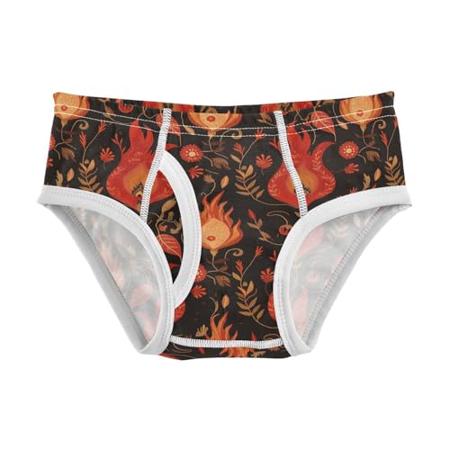 visesunny Boys Potty Training Underwear Hot Flame Flower Breathe Cotton Briefs Size 2T-8Y for Toddler