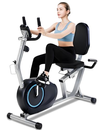 Recumbent Exercise Bike for Seniors - 400LB Weight Capacity Recumbent