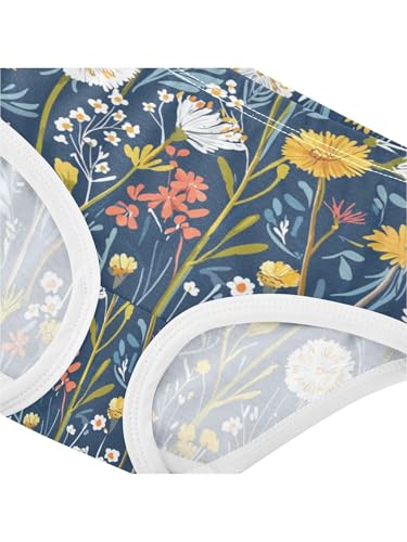 ZZKKO Countryside Wildflowers Girls Underwear Toddler Panties for Girls Comfort Brief Size 2T4