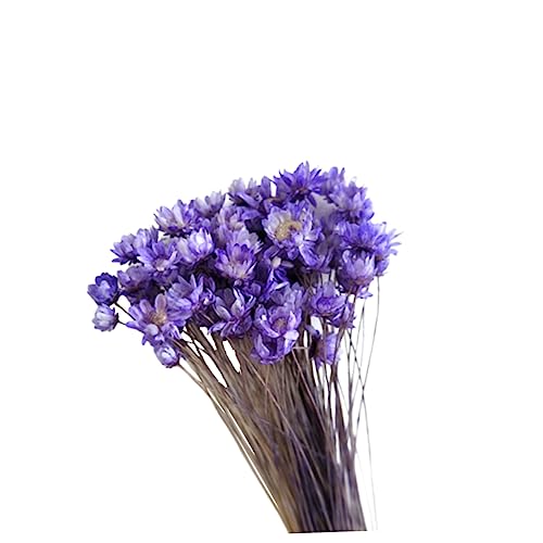 Daisy seca decoración 30 piezas para arreglo DIY miniatura 1