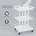 Esthetician Cart with Wheels Utility Salon Rolling Trolley, White Mobile Storage Organizer for Beauty Spa Cosmetology Massage, Tattoo Manicure Facial Tool Holder Station