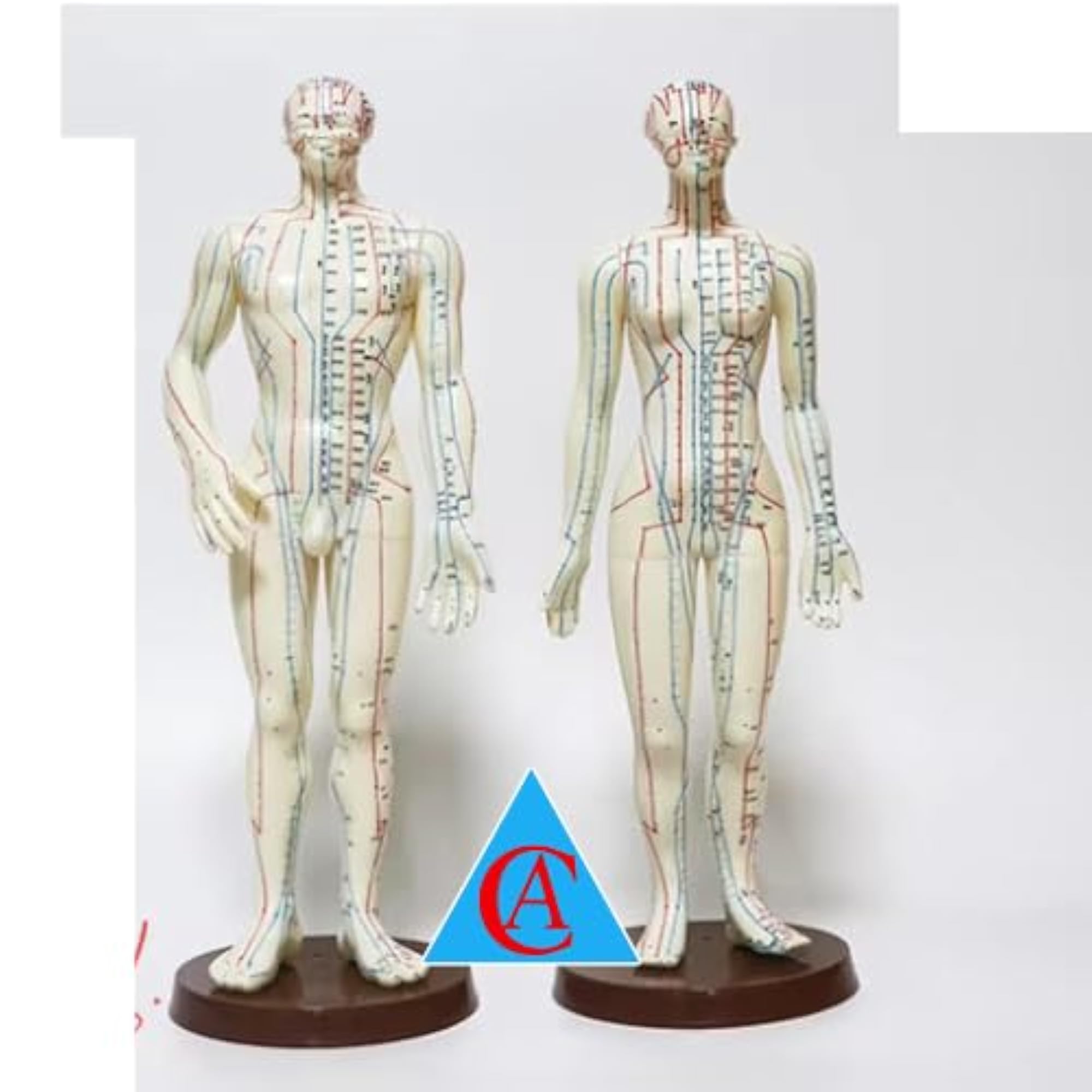 CA CHOUDHARY ACUPRESSURE Combo Pack for Wellness