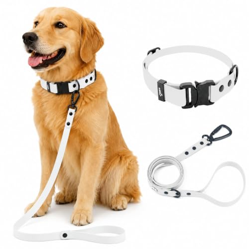 Image of Adil's Biothane Waterproof Dog Collar, Dog Leash & Collar Leash Combo | Heavy Duty TPU Coated Webbing | Adjustable Quick Release Buckle | Odour Resistant (Lemon White, M-18, Collar only)