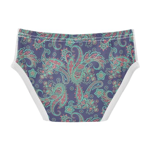 Boys' Exclusive Briefs Toddler Underwear 95% Combed Cotton Boxerbriefs 2T Paisley Pattern 102