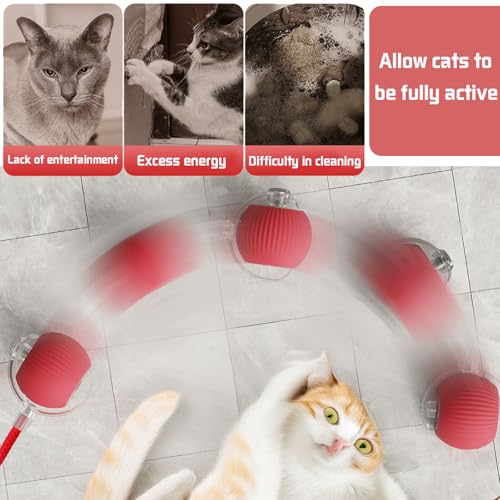 YOUYIKE Katzenball Interaktives Elektrisch Automatisch Katzenspielzeug Ball mit Schnur & Falscher Maus Selbstrollender Spielzeug Ball Cat Chase Running Toy für Hund