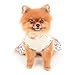 SMALLLEE_LUCKY_STORE Knitted Floral Small Dog Dress Cats Sundress Puppy Princess Spring Summer Clothes for Pets Holiday Festival Outfits,Beige,S