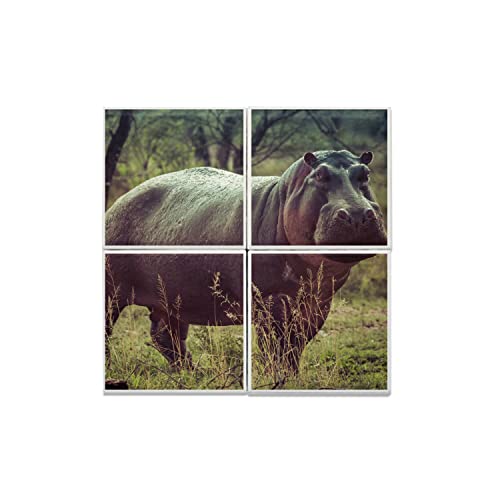 Carreaux céramique hippopotame pour embellir votre crédence de cuisine