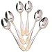 Aligle 12PCS Stainless Steel Fruit Forks and Dessert Spoon Carved Handle