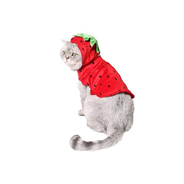 Popetpop cat clothes - strawberry pet halloween costume pet apparel puppy kitten strawberry hooded clothes christmas new year birthday party daily wear dress up - image 3