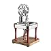 YLLLLY Kit del Modello del Motore del Motore di Stirling, Giocattolo dell'esperimento della Scienza del Motore di Stirling del Metallo ad Alta Temperatura raffreddato ad Acqua for Adulti e Bambini 6