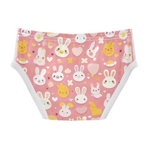 visesunny Boys Potty Training Underwear Pink Cartoon Rabbit Animal Breathe Cotton Briefs Size 2T-8Y for Toddler2