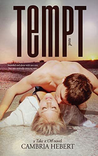 Tempt view 2