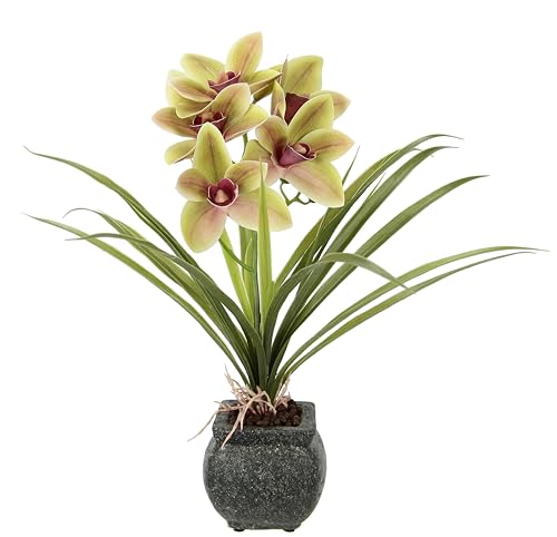Künstliche Cymbidium-Orchidee 40cm mit Blätter und Luftwurzeln im Topf aus Keramik Blume Kunstorchidee Orchidee Phalaenopsis mit Übertopf Kunstpflanze Hochzeit Deko Seidenblume Real Blüte, grün