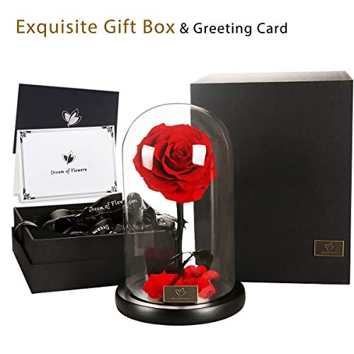A Surprised Red Fresh-Keeping Rose, Blooming Beautiful and Elegant in the Glass Cover, Valentine\'s gift, Birthday Present, Mother\'s Day gift, Perfect Eternal Flower For The Person You Like - Thumbnail 5