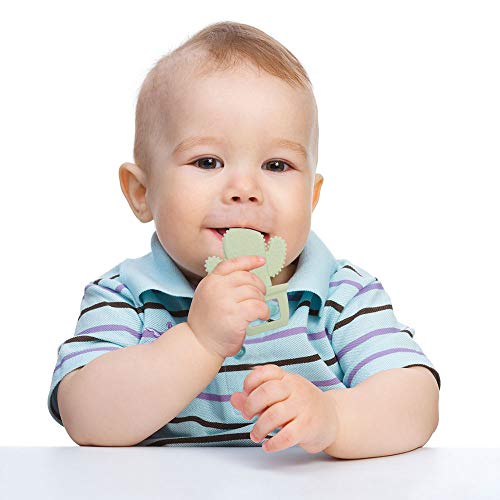 Baby Silicone Teether,Sensory Chew Toys,Bpa Free Soft And Effective Infant Teething Pain Relief Toys,Freezer Safe,Food Grade Silicone,Best Shower Gift For Boys And Girls (Cactus) #TOP4